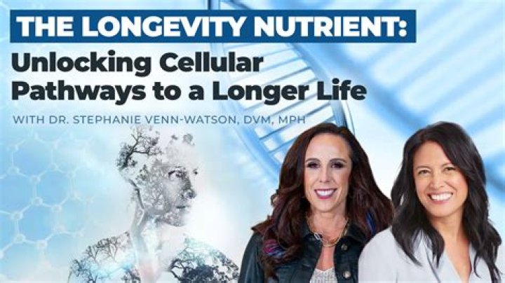 Unlocking Insights And Career Longevity