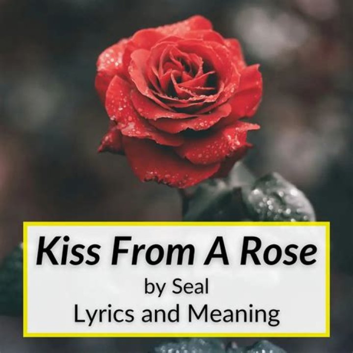 Unraveling The Meaning Behind Rosalita's Lyrics