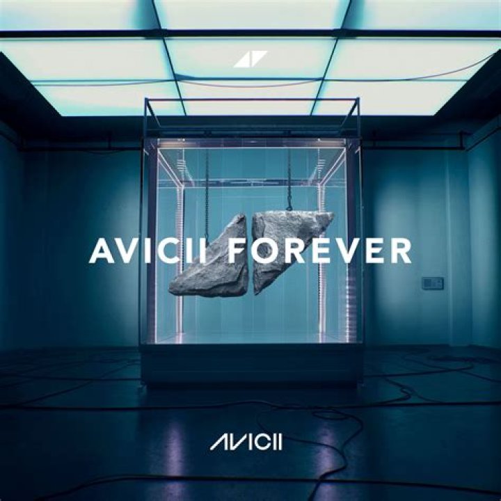 Unraveling The Mystique Of Avicii's Net Worth
