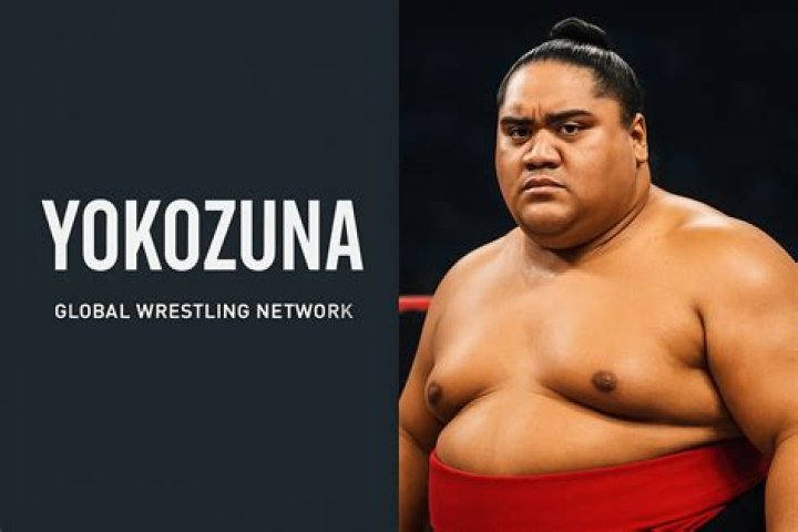 Unveiling A Wrestling Star's Journey And Impact