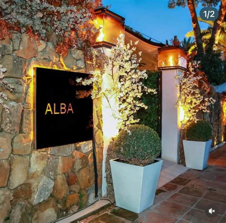 Unveiling Alba Baptista: 10 Captivating Insights