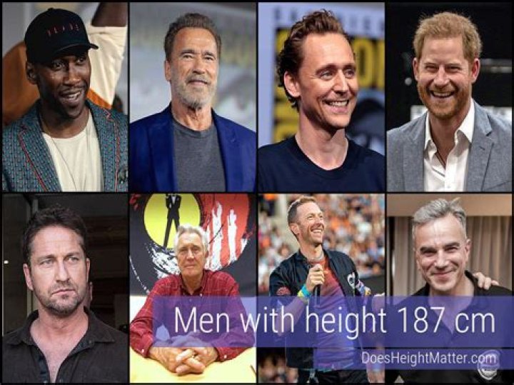 Unveiling Russell Brand's Height: Discoveries And Insights
