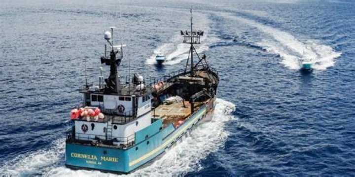 Unveiling The Chelsea Marie Boat Accident: Discoveries And Insights