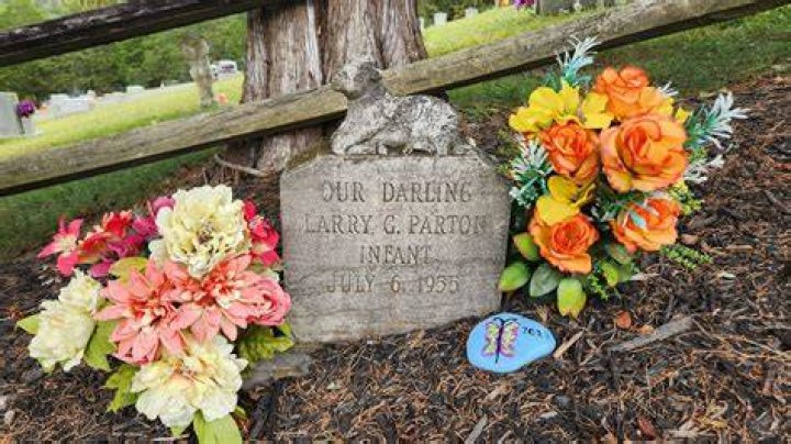 Unveiling The Extraordinary Legacy Of Larry Gerald Parton
