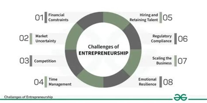 Unveiling The Multifaceted Entrepreneur And Model