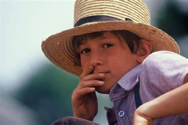 Unveiling The Secrets Of Amish Oil Changes: Discoveries And Insights