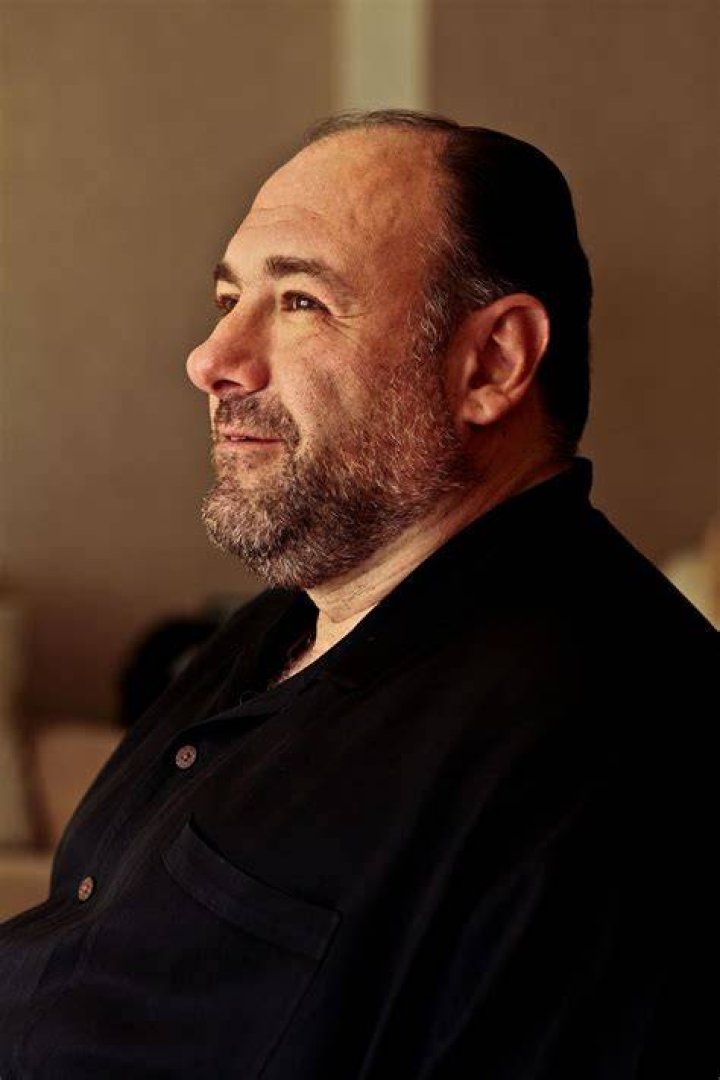 Unveiling The Unseen: The Gandolfini Family Legacy