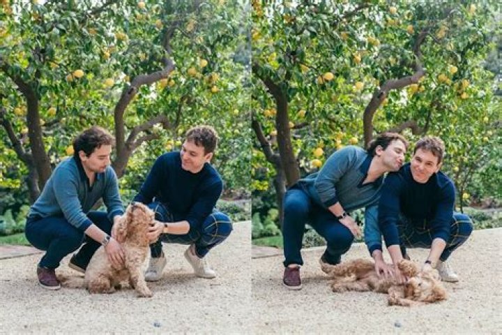 Unveiling The World Of Jon Lovett's Partner: Insights And Discoveries
