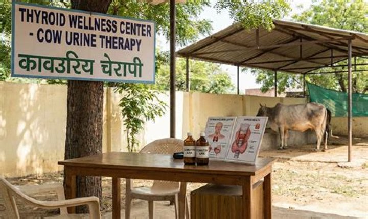 Urine Therapy Image Gallery (List View) Know Your Meme
