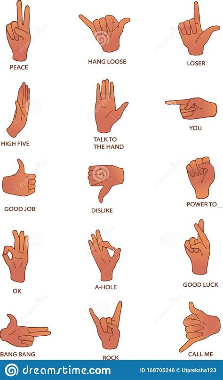 Vector Hand Gestures with Meanings Stock Vector Illustration of flat