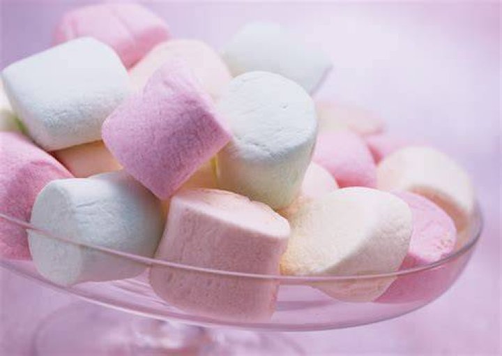 Very tempting Marshmallow test Grit in education