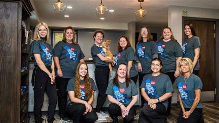 Veterinarian In Grove City, OH 43123 Grove City Veterinary Hospital