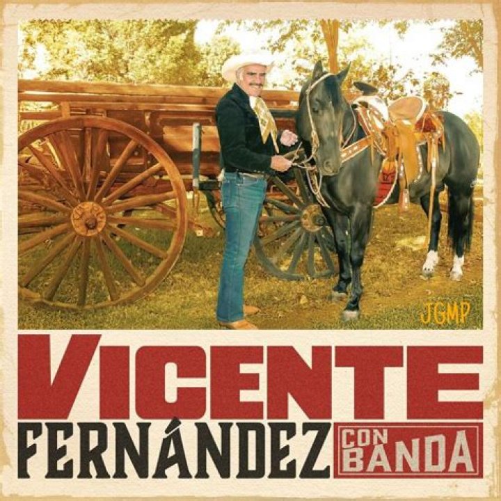 Vicente Fern&aacute;ndez suffers from GuillainBarr&eacute; syndrome