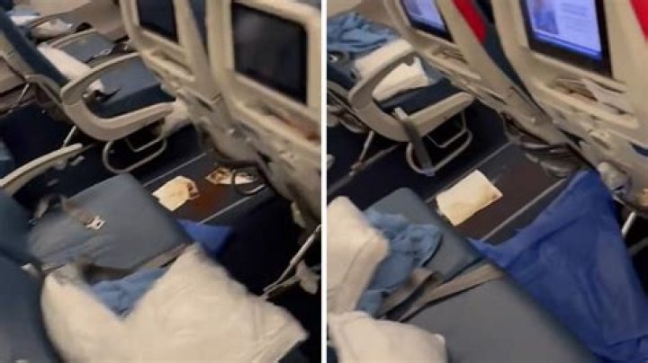 Video Surfaces Showing Alleged Aftermath of Poop Plane Incident