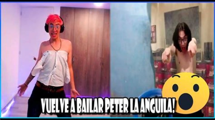 [Videoclip] Peter la Anguila vuelve a la m&uacute;sica con pegajoso tema Mega