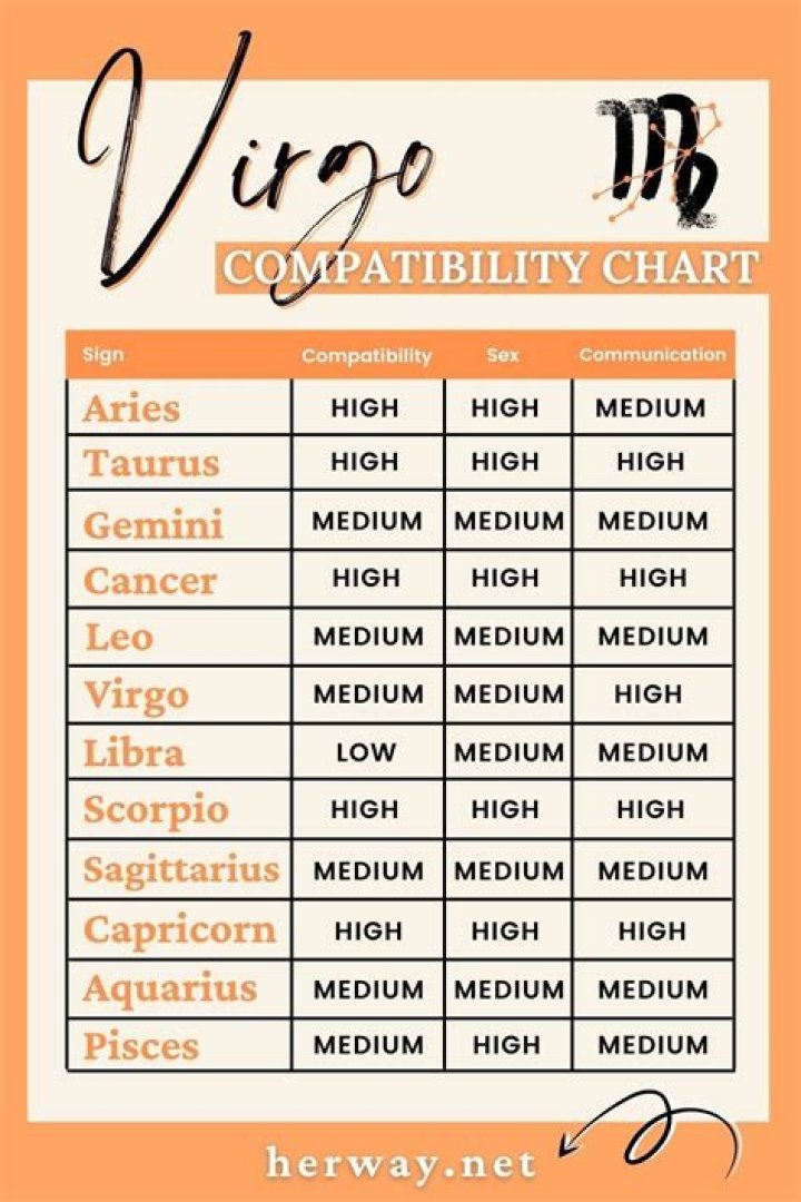 Virgo And Virgo Compatibility In Love And Friendship