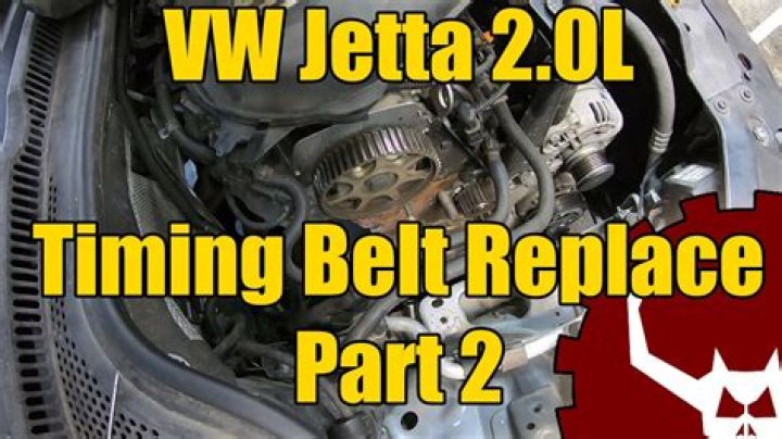 Volkswagen Clasico/Jetta (2002 2005) Toothed belt. toothed belt
