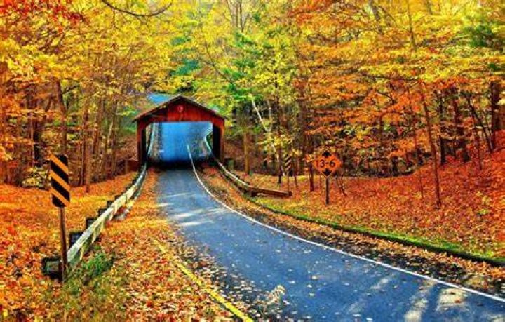 Wallpaper highway, cambron covered bridge, autumn, nature desktop