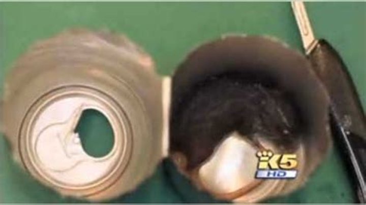 Washington Man Finds Dead Mouse in Energy Drink Can Fox News