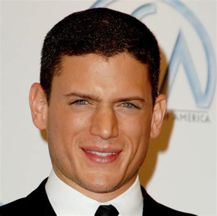 Wentworth Miller reveals that he's gay