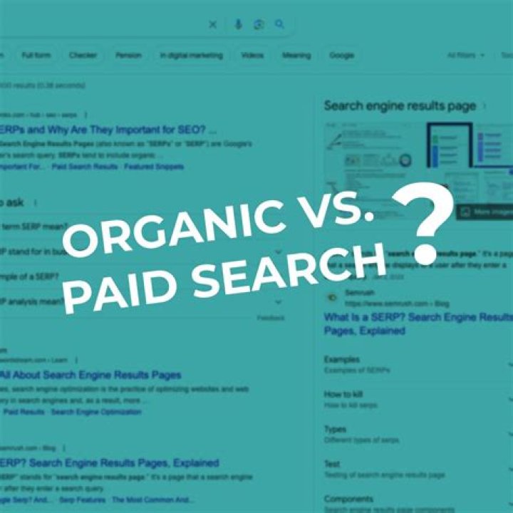 What Are Organic Search Engine Rankings?
