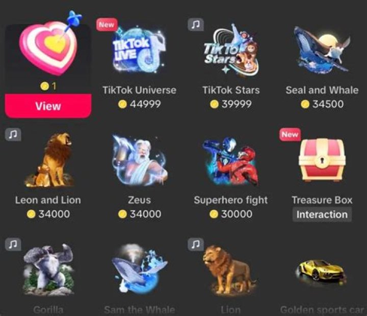 What Are TikTok LIVE Gifts and How Do They Work? SocialHub Center