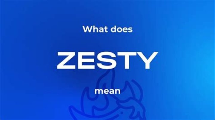 What does zesty mean short and simple explanation shortexplain 