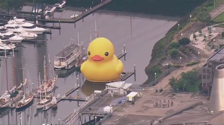 What Happened to Ducky? Why Did David McCallum Leave NCIS?