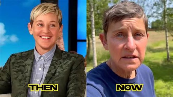 What happened to Ellen DeGeneres' wife Portia de Rossi? The US Sun
