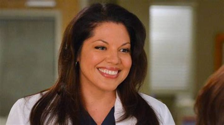 What happened to Sara Ramirez after leaving Grey's Anatomy? in 2022
