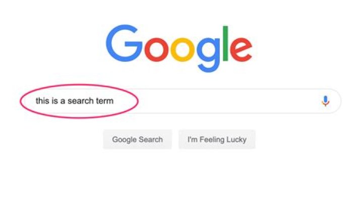 What is a Search Term? Seobility Wiki