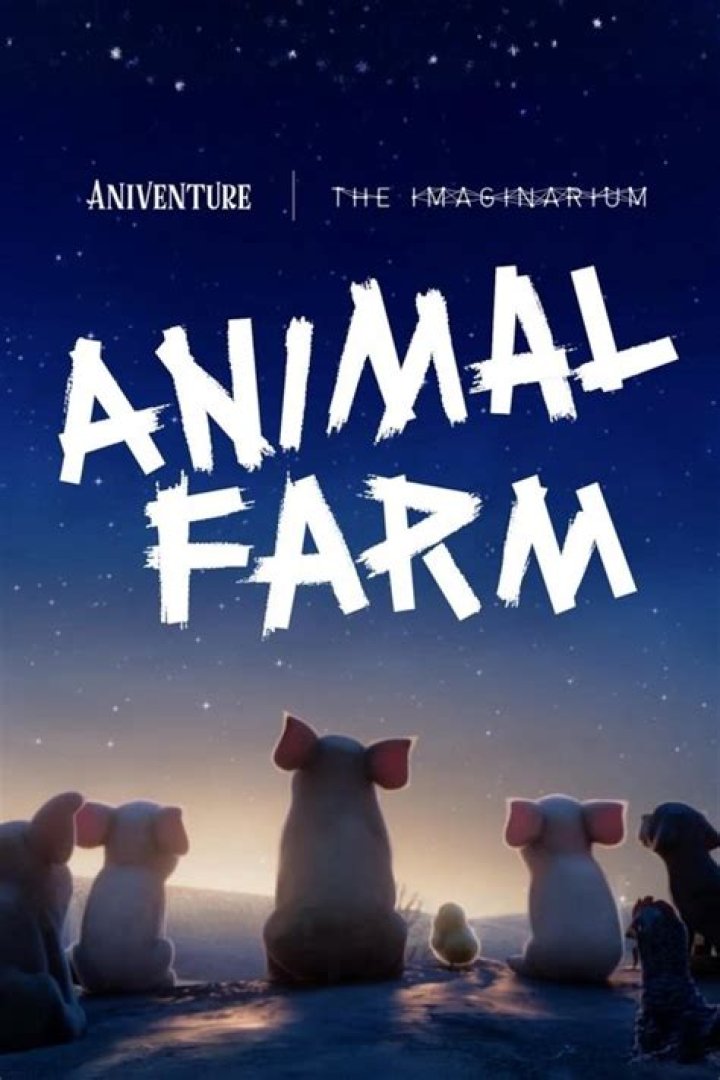 What Is Animal 2024 Movie About Maggee
