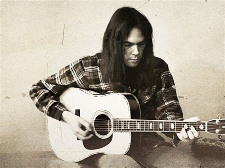 What is Musician Adam Young's Net Worth? Budget and the Bees