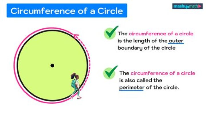 What Is the Circumference of a Toilet Paper Roll? Decorhomefiner
