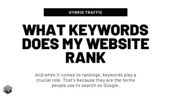 What Keywords Does My Website Rank for?