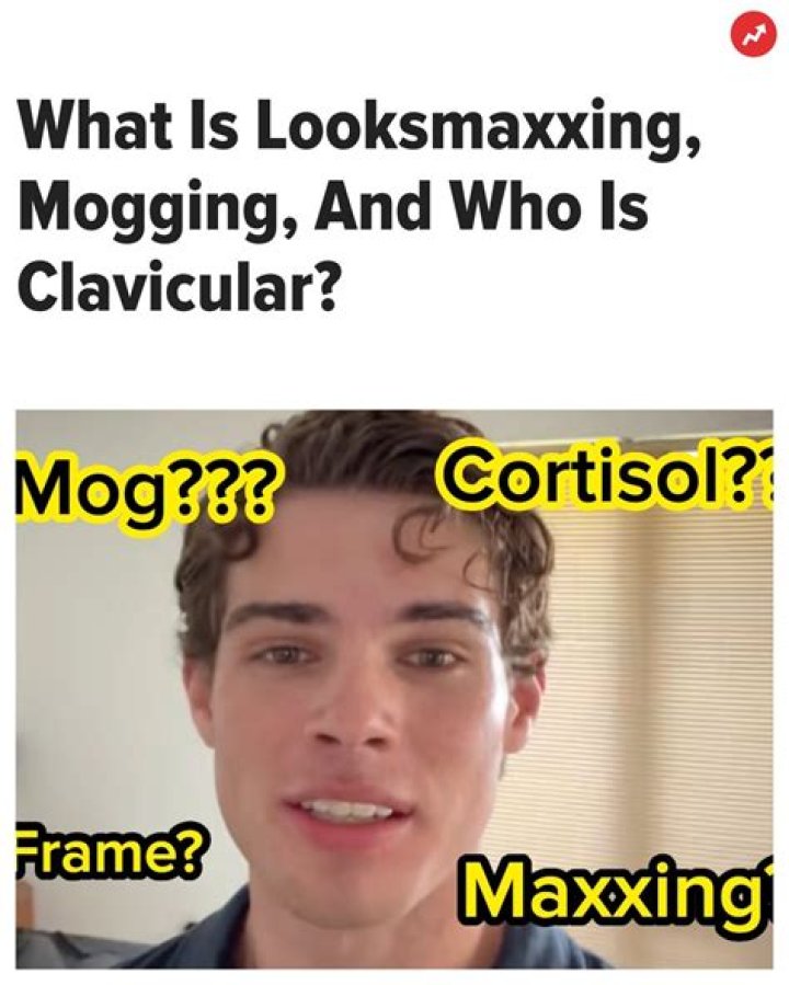What Mog, Mogging, and Looksmaxxing from TikTok Mean ? MemeInCase