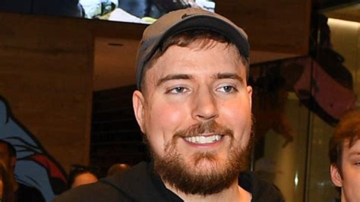 What We Know About MrBeast And Thea Booysen's Relationship