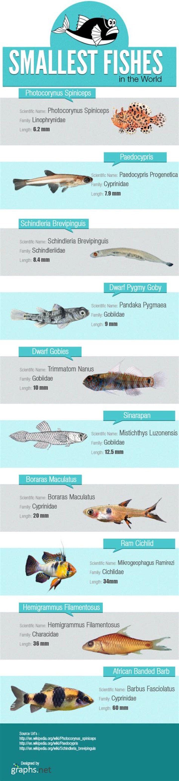 What&rsquo;s the smallest fish you&rsquo;ve ever caught? r/Fishing