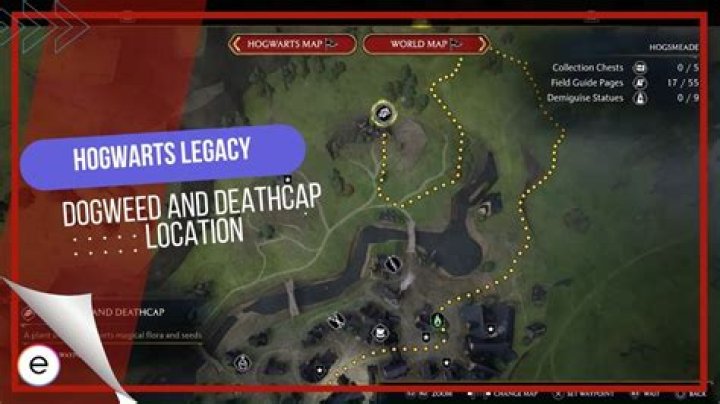Where Is Dogweed and Deathcap in Hogwarts Legacy, Answered