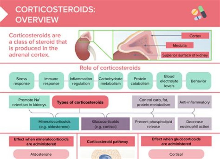 Where Is Steroids Mastermind and BALCO Founder Victor Conte Today?