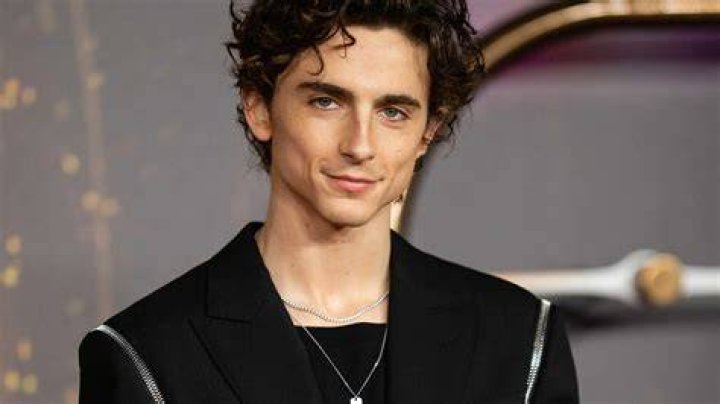 Where Is Timothee Chalamet's Father Now, According to Marc Chalamet? APXV