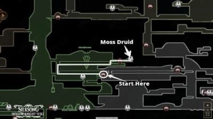 Where to Find the Druid Halsin in Baldur's Gate 3 (BG3) Prima Games