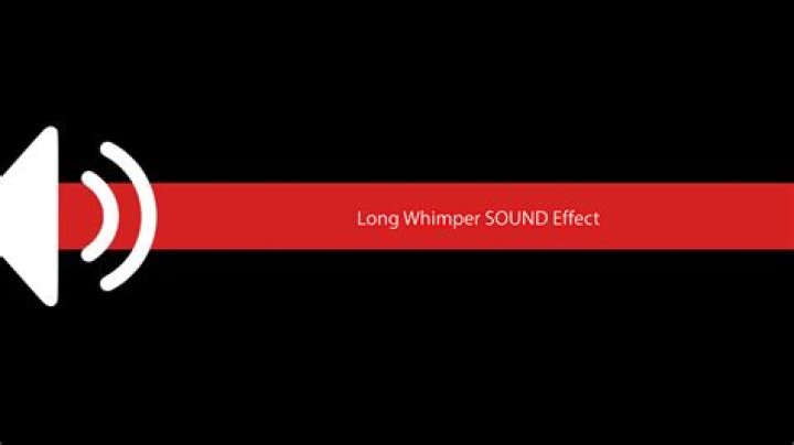 Whimper Sound Effect YouTube