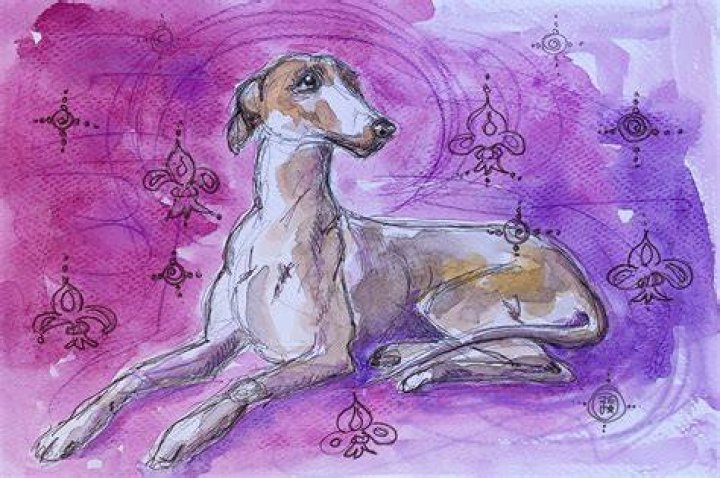 Whippets Watercolor by Erin Napier 20" x 28" (65) Laurel Mercantile
