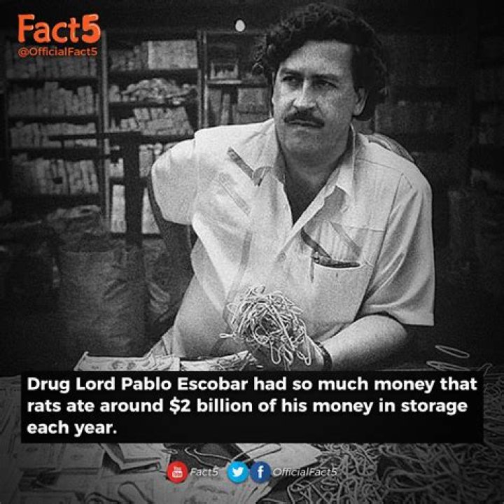 Who got Pablo Escobar money after he died? Legit.ng