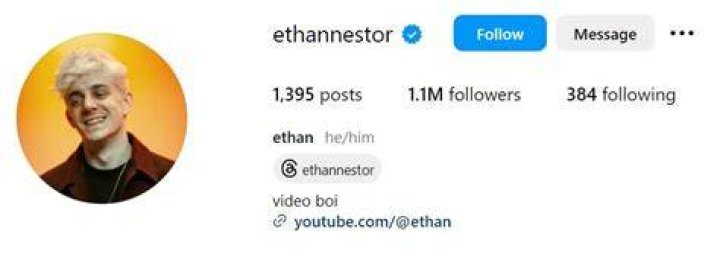 Who is Ethan Nestor's girlfriend? Is he Gay? All you need to know