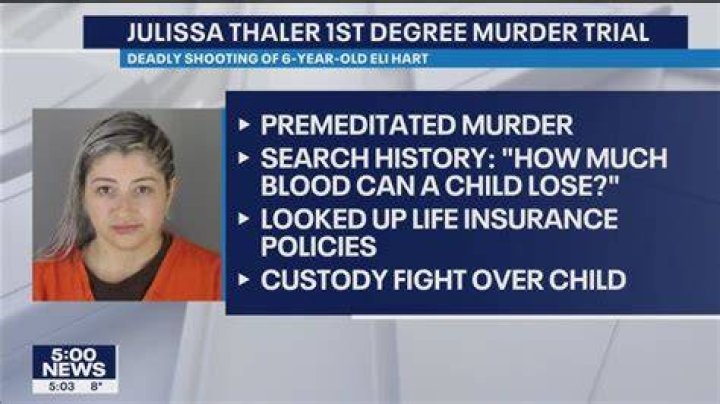 Who is Julissa Thaler? Minnesota mom, 28, drove car around with son, 6