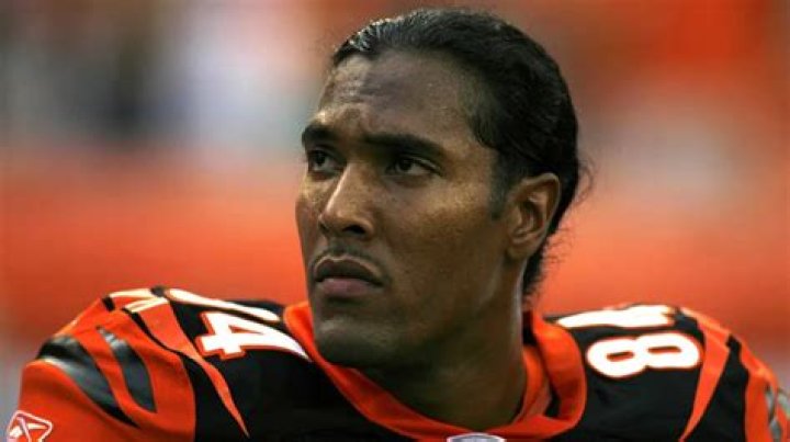 Who Is Kaci Houshmandzadeh? T.J. Houshmandzadeh Wife