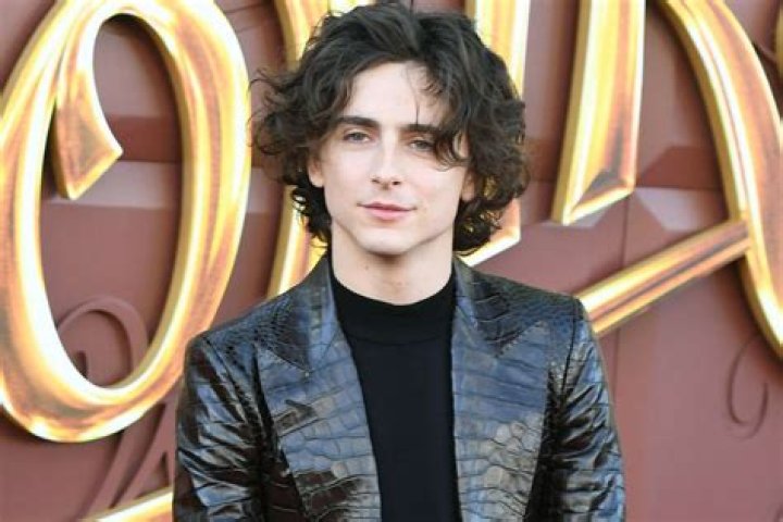 Who Is Marc Chalamet? Timoth&eacute;e Chalamet's Father Everything To Know