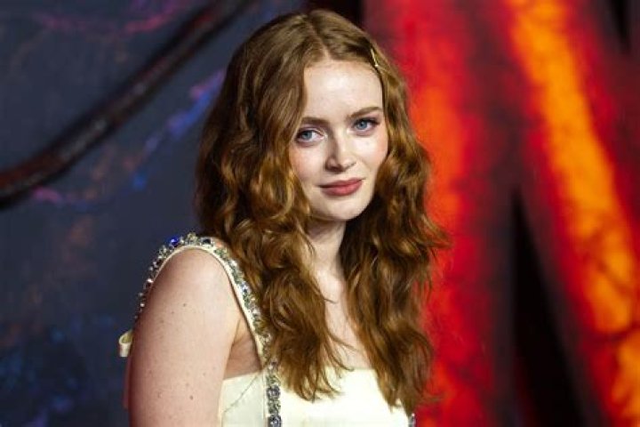 Who is Sadie Sink? Net Worth, Partner, Biography